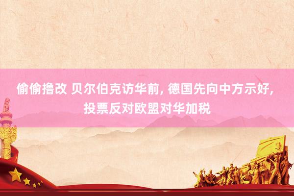 偷偷撸改 贝尔伯克访华前， 德国先向中方示好， 投票反对欧盟对华加税