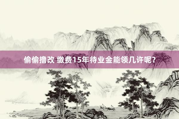 偷偷撸改 缴费15年待业金能领几许呢？