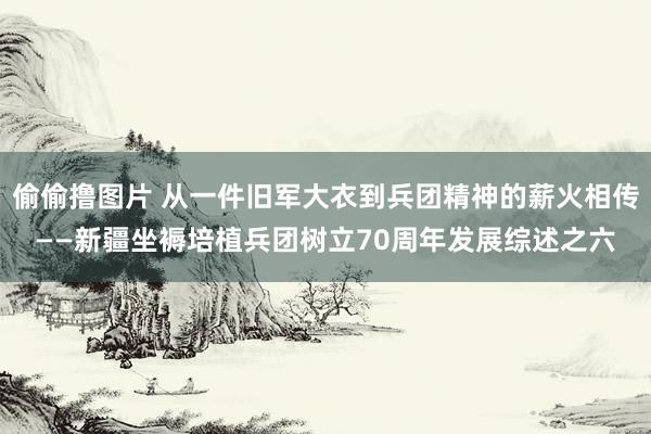 偷偷撸图片 从一件旧军大衣到兵团精神的薪火相传——新疆坐褥培植兵团树立70周年发展综述之六