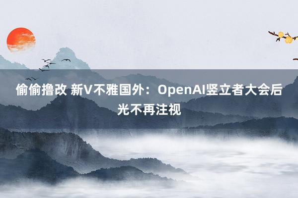 偷偷撸改 新V不雅国外：OpenAI竖立者大会后光不再注视