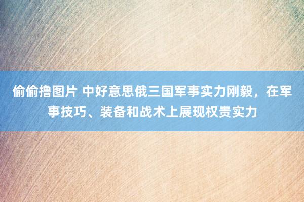 偷偷撸图片 中好意思俄三国军事实力刚毅，在军事技巧、装备和战术上展现权贵实力