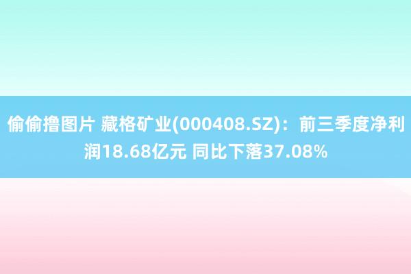 偷偷撸图片 藏格矿业(000408.SZ)：前三季度净利润18.68亿元 同比下落37.08%