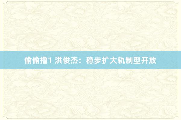 偷偷撸1 洪俊杰：稳步扩大轨制型开放