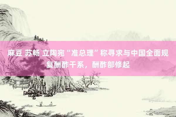 麻豆 苏畅 立陶宛“准总理”称寻求与中国全面规复酬酢干系，酬酢部修起
