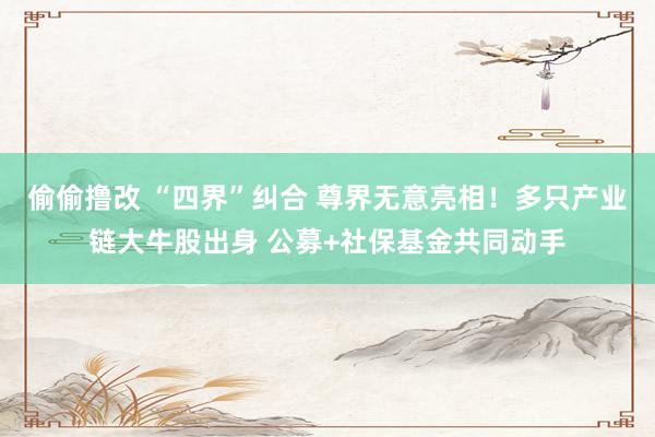 偷偷撸改 “四界”纠合 尊界无意亮相！多只产业链大牛股出身 公募+社保基金共同动手