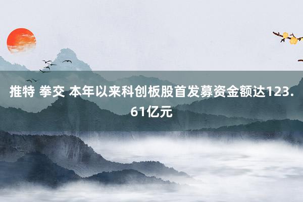 推特 拳交 本年以来科创板股首发募资金额达123.61亿元
