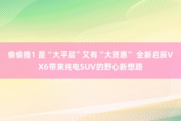 偷偷撸1 是“大平层”又有“大贤惠” 全新启辰VX6带来纯电SUV的野心新想路