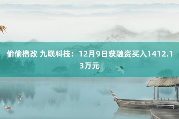 偷偷撸改 九联科技：12月9日获融资买入1412.13万元