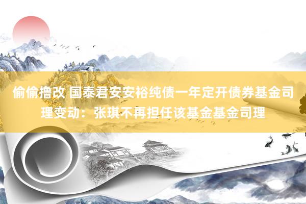 偷偷撸改 国泰君安安裕纯债一年定开债券基金司理变动：张琪不再担任该基金基金司理