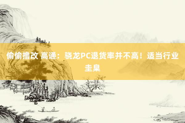 偷偷撸改 高通：骁龙PC退货率并不高！适当行业圭臬