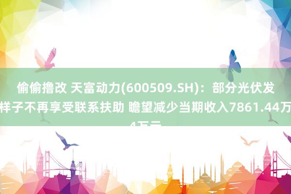 偷偷撸改 天富动力(600509.SH)：部分光伏发电样子不再享受联系扶助 瞻望减少当期收入7861.44万元