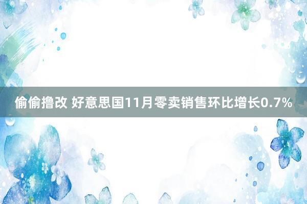 偷偷撸改 好意思国11月零卖销售环比增长0.7%