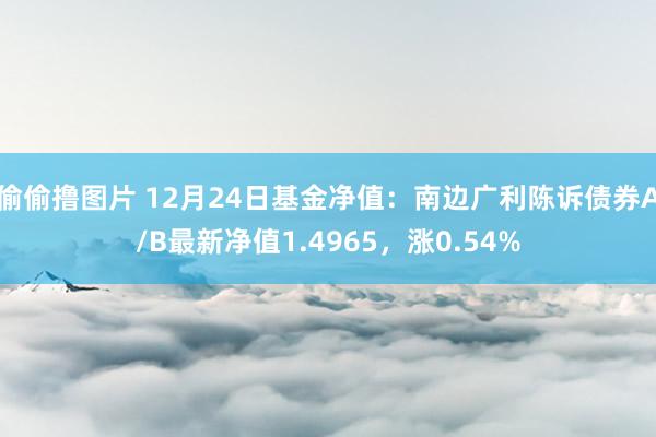 偷偷撸图片 12月24日基金净值：南边广利陈诉债券A/B最新净值1.4965，涨0.54%
