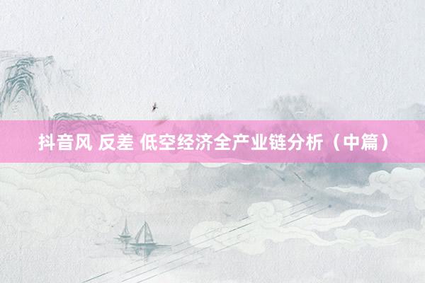 抖音风 反差 低空经济全产业链分析（中篇）