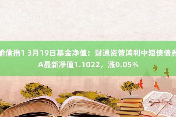 偷偷撸1 3月19日基金净值：财通资管鸿利中短债债券A最新净值1.1022，涨0.05%