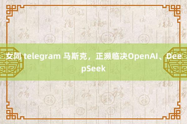 女同 telegram 马斯克，正濒临决OpenAI、DeepSeek