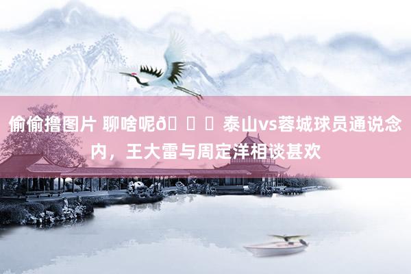 偷偷撸图片 聊啥呢👀泰山vs蓉城球员通说念内，<a href=