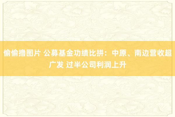偷偷撸图片 公募基金功绩比拼：中原、南边营收超广发 过半公司利润上升