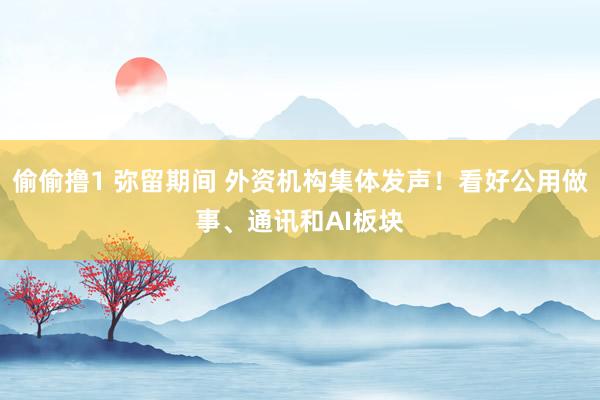 偷偷撸1 弥留期间 外资机构集体发声！看好公用做事、通讯和AI板块