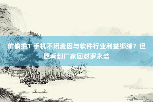 偷偷撸1 手机不闭麦因与软件行业利益绑缚？但愿看到厂家回怼罗永浩