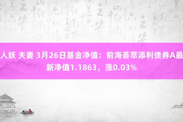 人妖 夫妻 3月26日基金净值：前海荟萃添利债券A最新净值1.1863，涨0.03%