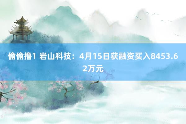 偷偷撸1 岩山科技：4月15日获融资买入8453.62万元
