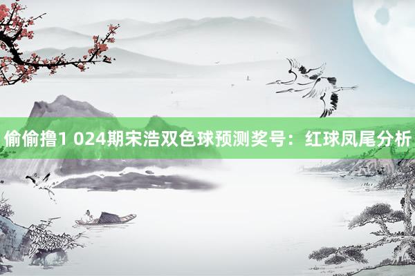 偷偷撸1 024期宋浩双色球预测奖号：红球凤尾分析